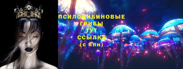 гашик Белоозёрский