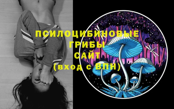 гашик Белоозёрский