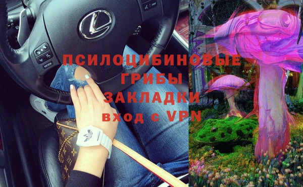 гашик Белоозёрский