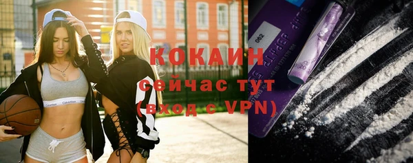 гашик Белоозёрский