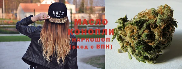 гашик Белоозёрский