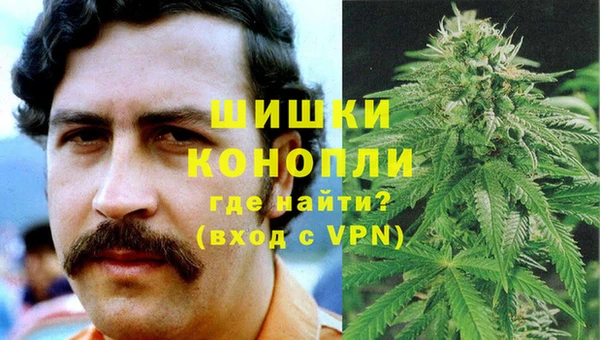гашик Белоозёрский