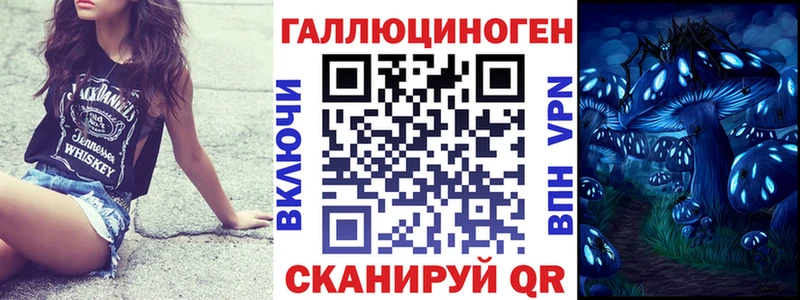 ссылка на мегу как войти  Верхний Уфалей  Псилоцибиновые грибы Psilocybe 
